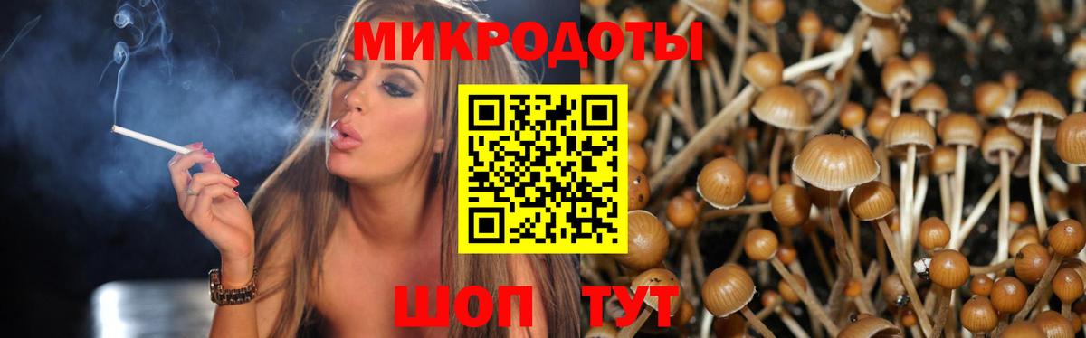 Галлюциногенные грибы Psilocybine cubensis  Вход с VPN  Галлюциногенные грибы MAGIC MUSHROOMS  Керчь 